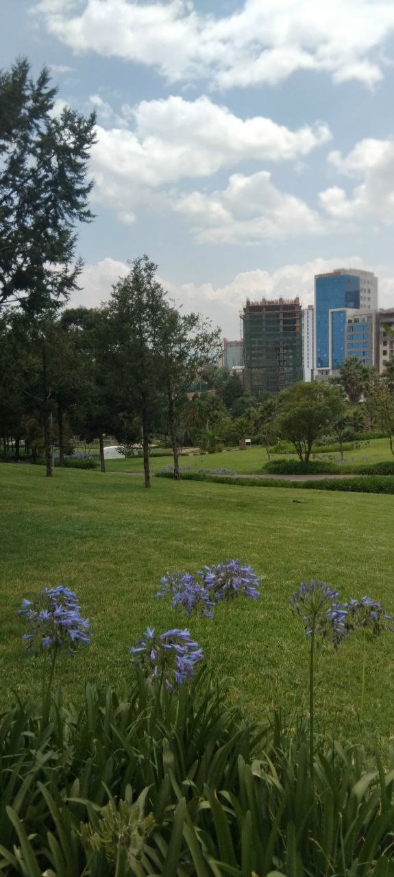 በማለቅ ላይ ያሉ አፓርትመንቶች እና የንግድ ሱቆች