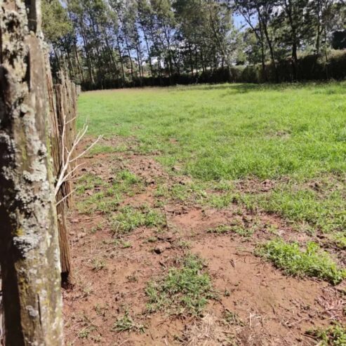 1/4 acre plot for sale at Sigona Valley Estate on Nairobi Nakuru highway, just before Tilisi-Limuru.