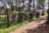 1/4 acre plot for sale at Sigona Valley Estate on Nairobi Nakuru highway, just before Tilisi-Limuru.