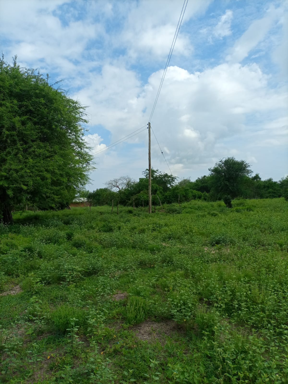 KENYA (Malindi & Diani Area): Land For Sale