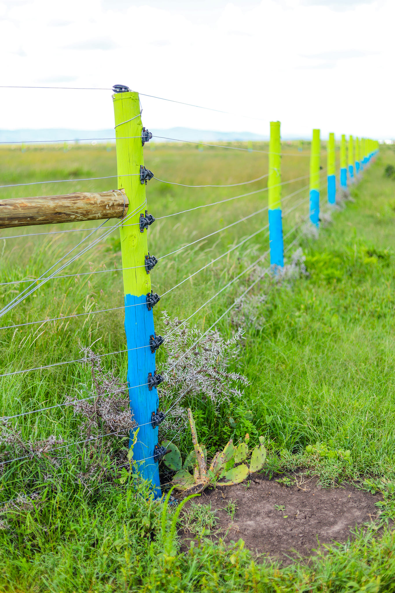 Fanikisha Gardens Nanyuki Mbogoini