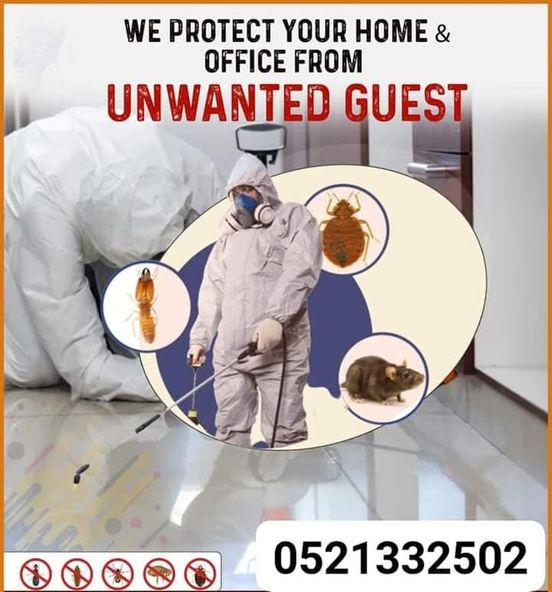 DUBAI: Pest Control Service