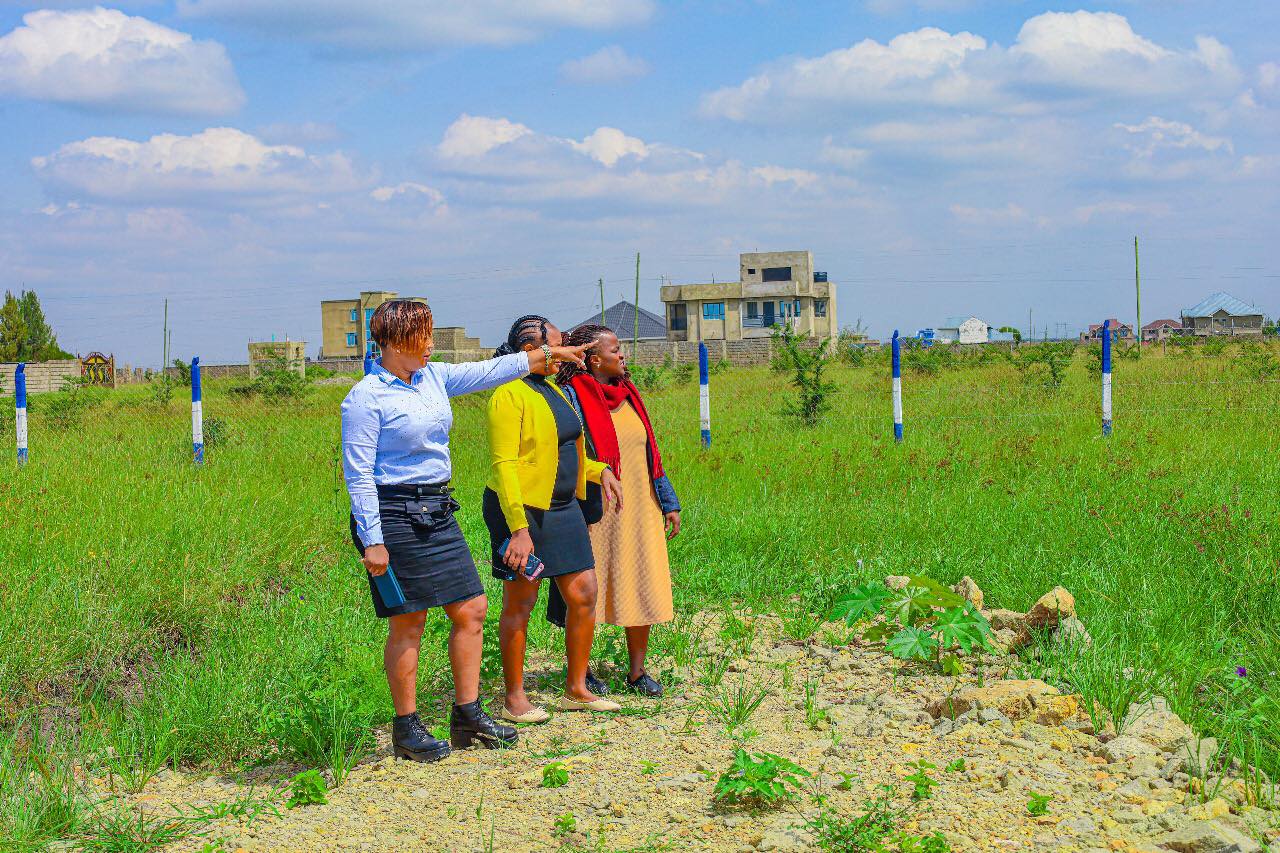 NAIROBI: Fanaka Real Estate