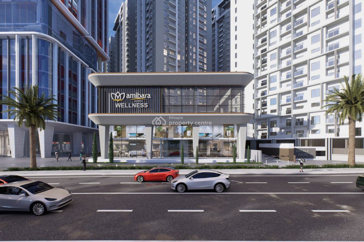 ADDIS ABABA: Luxury 2 Bedroom apartment for sale for Br 14,040,000